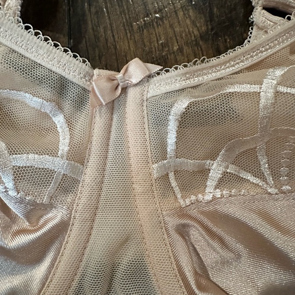 Elomi Beautiful Sheer Lace Bra in Nude Color Size 40I - Picture 5 of 9